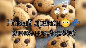 новое хобби? 🍂🦮