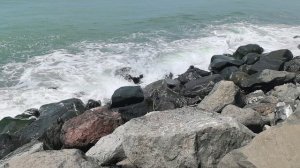 Батуми 2025.mp4