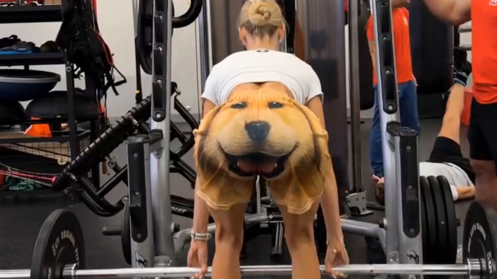 ✅ САМЫЕ СМЕШНЫЕ ПРИКОЛЫ — ТОП ПОДБОРКА 🔥 смотреть онлайн