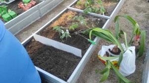 25-Дача..ëжики наши частые гости😁 24.05.22