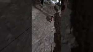 Вечерняя прогулка