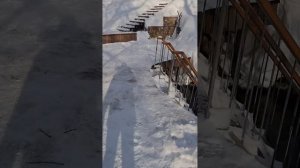 Голубое озеро в феврале: Стеклянная вода, глубокий снег и абсолютная тишина ❄️