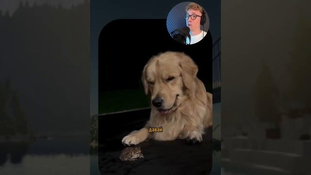 ВИРУСНЫЕ_ВИДЕО_Подборка_смешные_моменты_№10