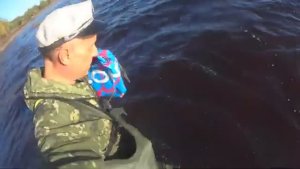 Снимаю сетки в броднях,а там Сигов!Рыбалка на Белом море!