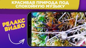РЕЛАКС видео 4K / Красивая ПРИРОДА под ПРИЯТНУЮ музыку 4K