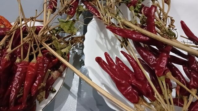 Острый перец круглый год. смотреть онлайн