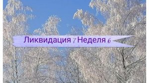 Ликвидация 7. Неделя 6