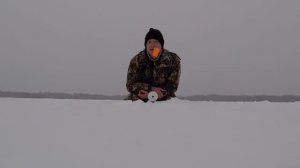 РЫБАЛКА НА ЖЕРЛИЦЫ | ЛОВЛЯ ЩУКИ НА ЖИВЦА.