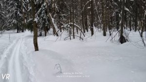 Лыжная прогулка #28 🌲❄️🌲❄️⛷️❄️🌲
26.02.2026