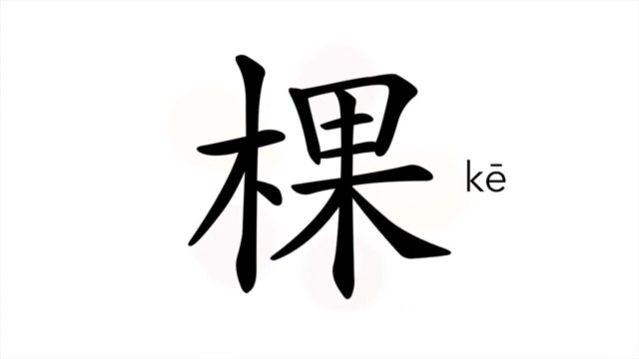 棵 (kē) measure word for trees, plants, etc.