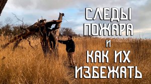 Забота о природе / Как избежать последствий пожара / Подготовка к весне