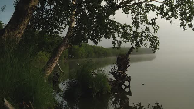 Звуки природы для расслабления и сна — шум волн на рассвете, пение птиц | звуки природы слушать