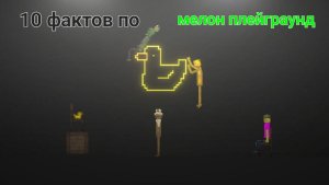 /10  ФАКТОВ  В   MELON PLAYGROUND/ #факты