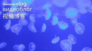 Шанхайский океанический аквариум | Shanghai Ocean Aquarium