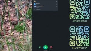 Тяжёлый путь на свободу из Украины