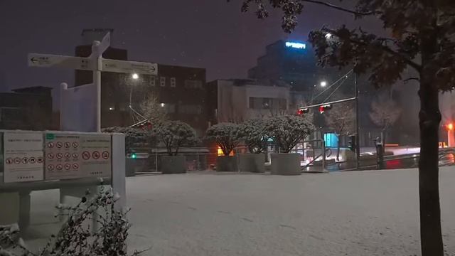 Stray Kids " Winter Falls " Прогулка по зимнему Сеулу.