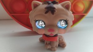 🛡️Savior Pet🛡️