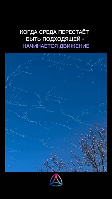 Иногда здоровье и долголетие начинаются с простого решения - перестать