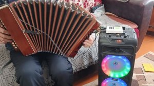 Самодельная миди гармонь