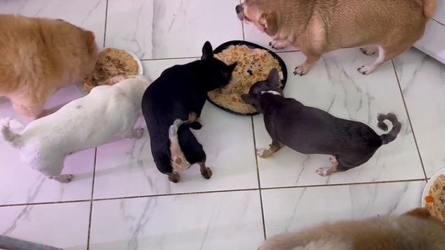 Пришло время очень плотно подкрепиться.