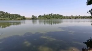 Рыбалка на сазана летом 2025 клёв тут хороший, новый спорт водоём