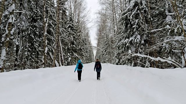 2026.02.28 Платформа 335-Никольское-Богородское 15 км