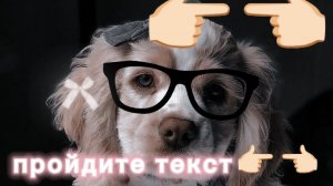 интересно какая порода у вас 🤔(тест на собачника хочешь пройти?)