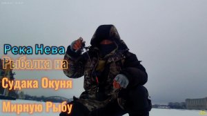 РЫБАЛКА 28 ФЕВРАЛЯ РЕКА НЕВА ИЩУ РЫБУ  ХИЩНИКА СУДАКА ОКУНЯ  ПОЛОВИТЬ МИРНУЮ РЫБУ ПЛОТВУ