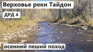ВЕРХОВЬЕ РЕКИ ТАЙДОН. Пеший поход осенью. Знакомство с рекой. ДРД 4.