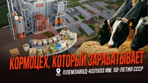Как устроен умный кормоцех? | Племзавод-колхоз 50-лет СССР | Кормоцех на ферме | Кормление коров