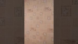 Сериал  " чуда чародейка"  серия1. сезон1