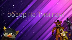 ОБЗОР НА ТИМ ГАН! НОВЫЙ ПРИВАТНЫЙ СЕРВЕР ПО ЧГ.