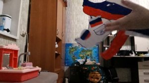 VID_20260228_200450.mp4