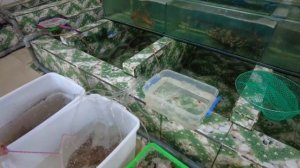 НЯЧАНГ 🏝ВЬЕТНАМ ☀️