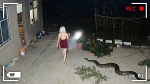 NEW! BRAIN TIME.  200 НЕВЕРОЯТНЫХ ВЕЩЕЙ, СНЯТЫХ НА КАМЕРУ. ЛУЧШЕЕ ЗА МЕСЯЦ!