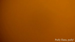 Рыбалка. Подводная съемка на сколько темно на дне р. Кама