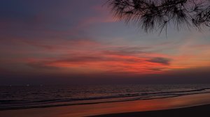 ТАЙЛАНД ВЛОГ Февраль 2026 | THAILAND Vlog