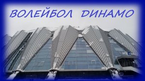 Волейбол Динамо. Что из себя представляет