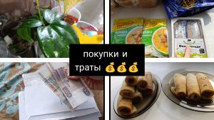 покупки🛍️🛍️🛒🛒/траты💰💰💰💰