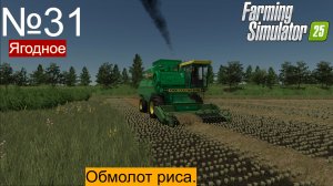 FS25 Дон 1500б на обмолоте риса.