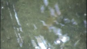 На озере Чистик. Пржевальское. 1