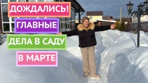 Важно!Сделайте это в саду в марте!
