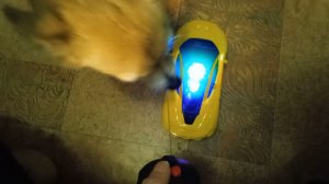 Опробуем машинку на радиоуправлении