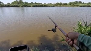 Рыбалка на удочку в канале, клёв карпа и густеры