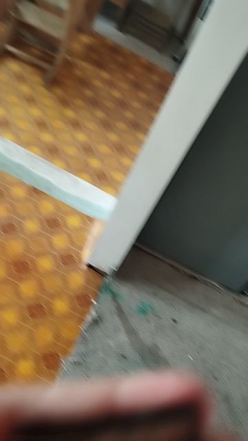 Нам🐯🐶 купили 🥳вкусные😋 конфеты🤗!!!