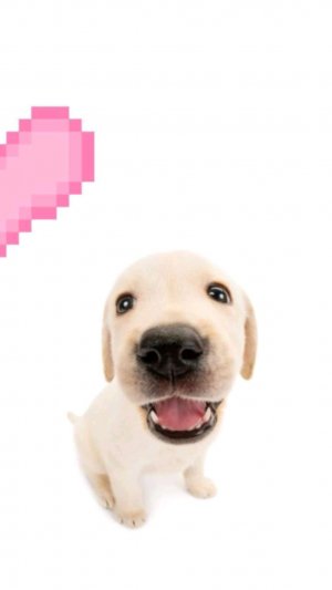 выступление в домашних условиях