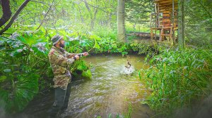 ДОБРАЛСЯ в ДОМ НА ДЕРЕВЕ и НАЛОВИЛ РЫБЫ - РЫБАЛКА на ДИКИХ РЕЧКАХ | Таежная УХА