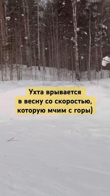 #Ухта …с первым днём весны…Республика Коми…01.03.2026