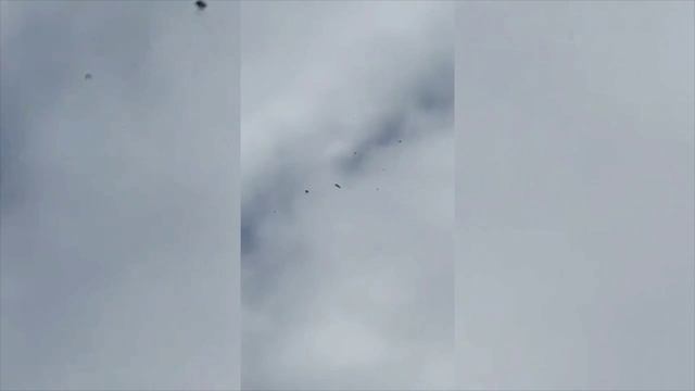 Портативный комплекс БВС Ёлка    2026