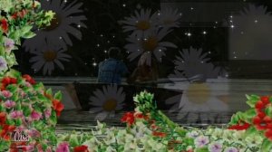 РОМАШКИ ДЛЯ НАТАШКИ